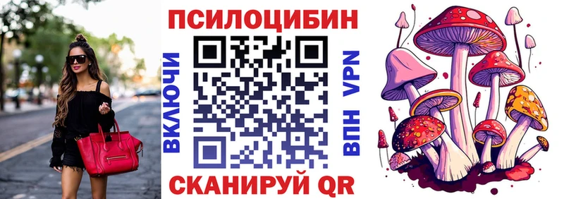 Купить где  Семёнов  Галлюциногенные грибы мухоморы 